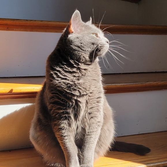 Meet your Posher, Megan - Picture 1 of 1